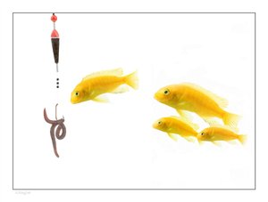 量子计算对比评测：不同量子编程框架效率对比